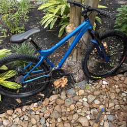 Gary Fisher Mullet 24 Spd Mtn Bike (Map Plz)