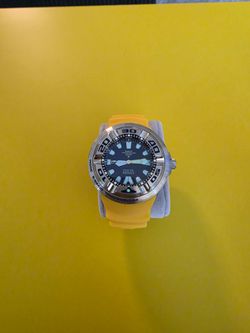 Citizen Eco-Drive Professional Diver 300M Watch