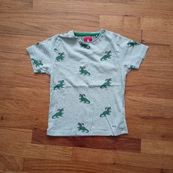 3/$10 ⭐ Cactus Boys Gray Grey Kids Holiday T-shirt with Santa Hat T-Rex Dinosaurs 5-6