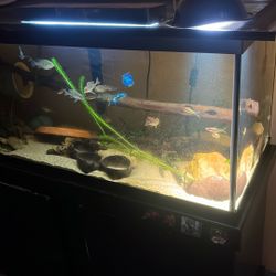 Fish Tank For Sell