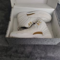 OVO Jordan 12