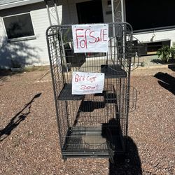 Bird Cage 