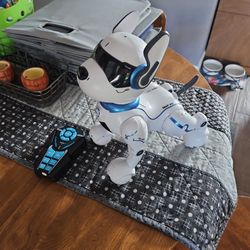 Smart Dog With Remote 