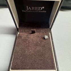 Jared Diamond Earing