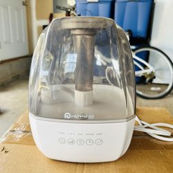 DreamEgg Dehumidifier 