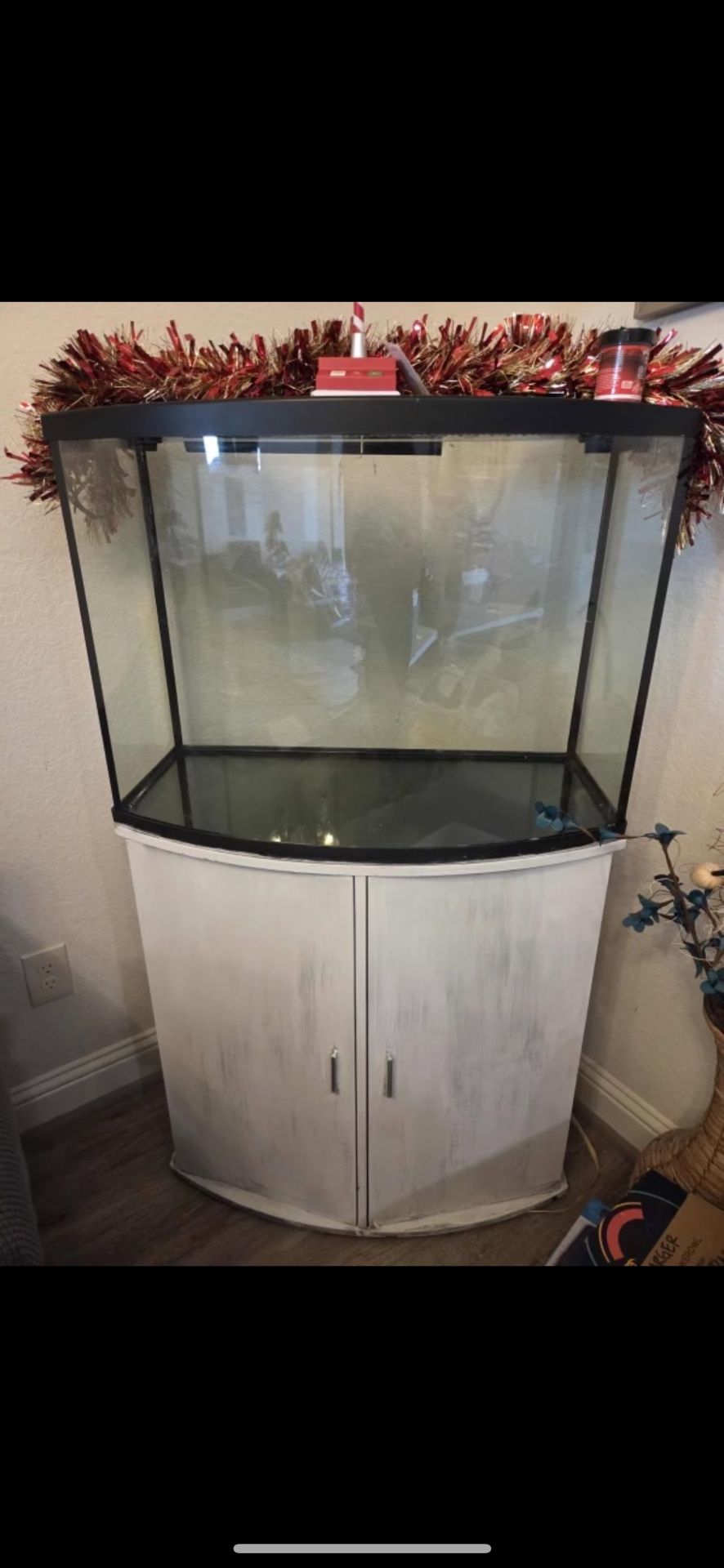 Bow Front Fish Tank
