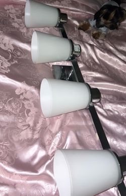 Vanity Light