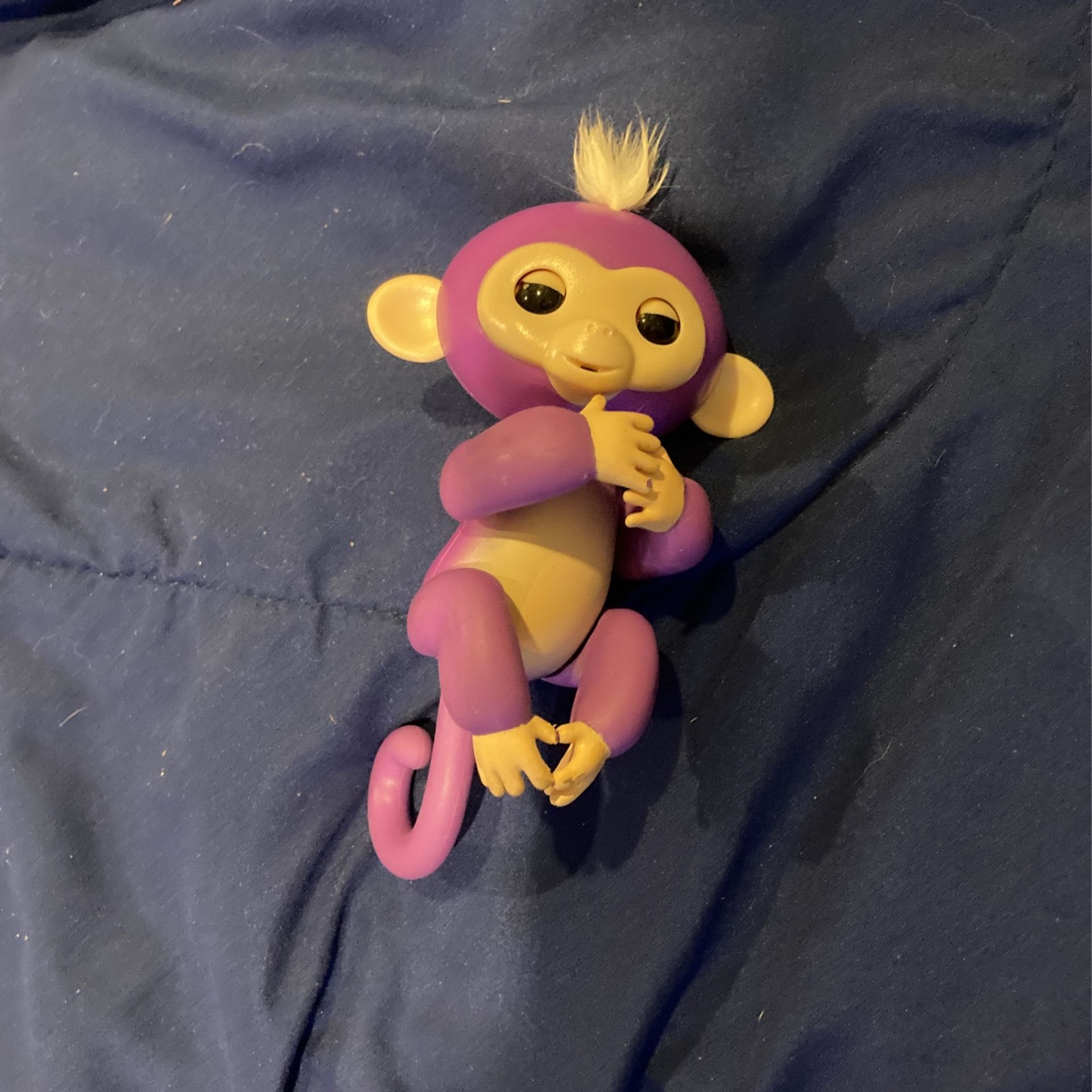 Fingerling Purple Monkey