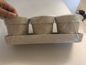 Bamboo pots