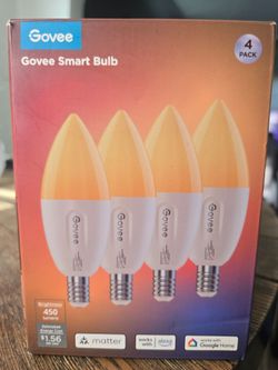 Govee smart bulb
