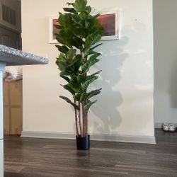Artificial Fiddle Leaf Fig Tree - 6FT 