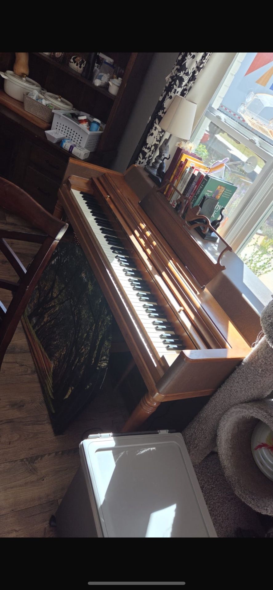 Looking for a piano that sounds great and adds timeless charm to your home?