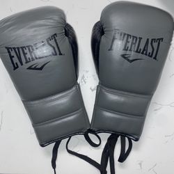 Everlast Pro Boxing Gloves