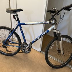 Mountain Bike Giant 