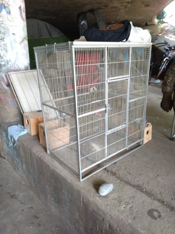 Bird Cage