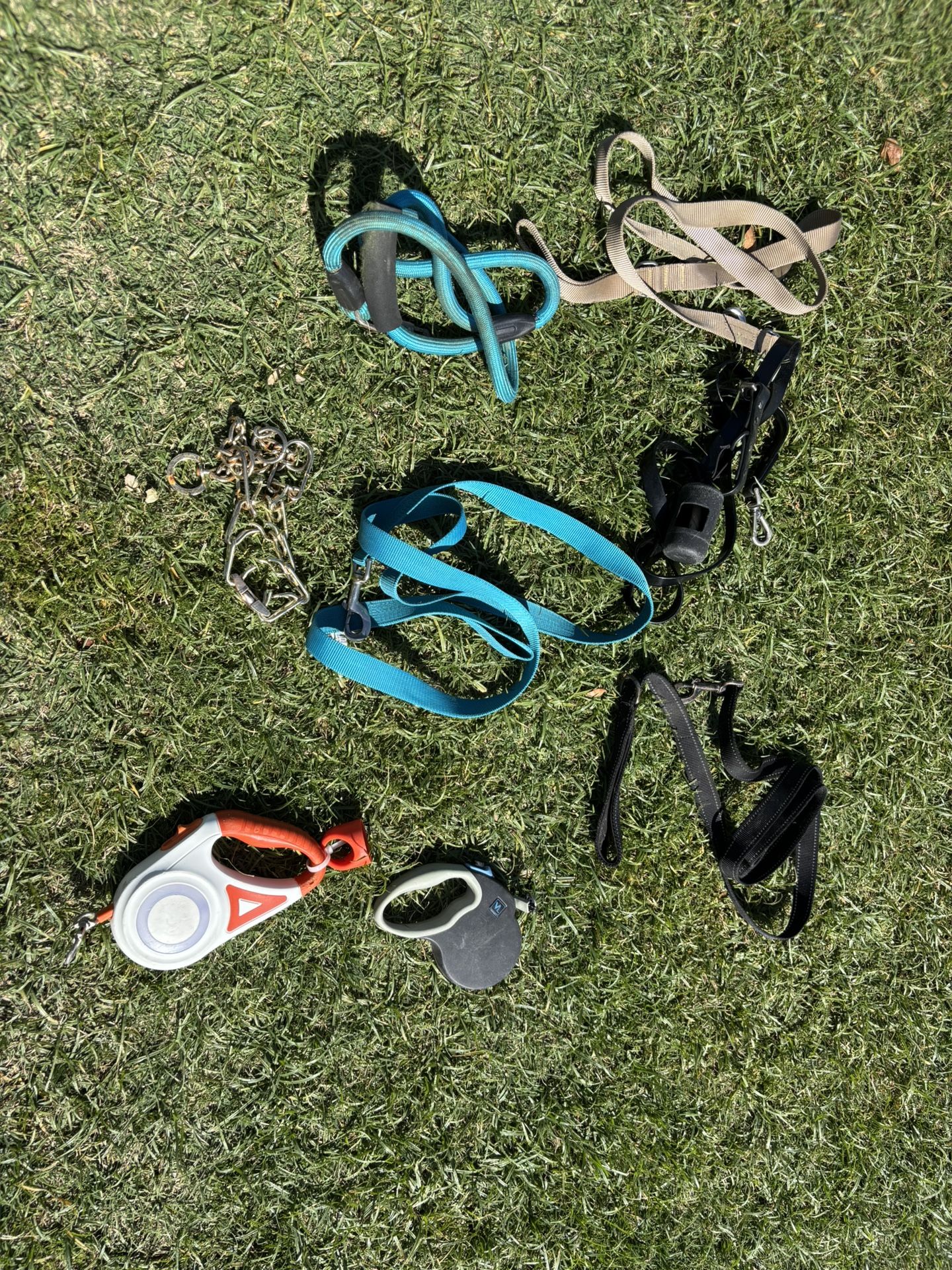 Dog Leashes Collars Harnesses