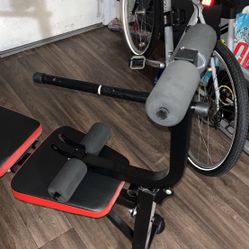 Adjustable Workout Bench With Leg Extension And Hamstring Curl . 