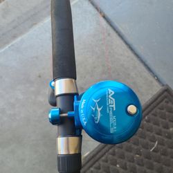 Shakespeare Sturdy Stik Avet MXj5.8:1