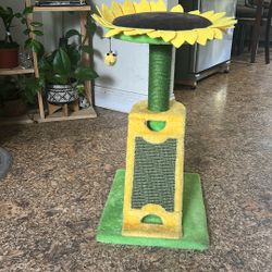 Cat Sun Flower Bed 