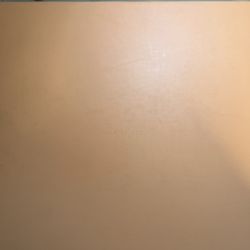 Nike (Fear Of God) Oatmeal