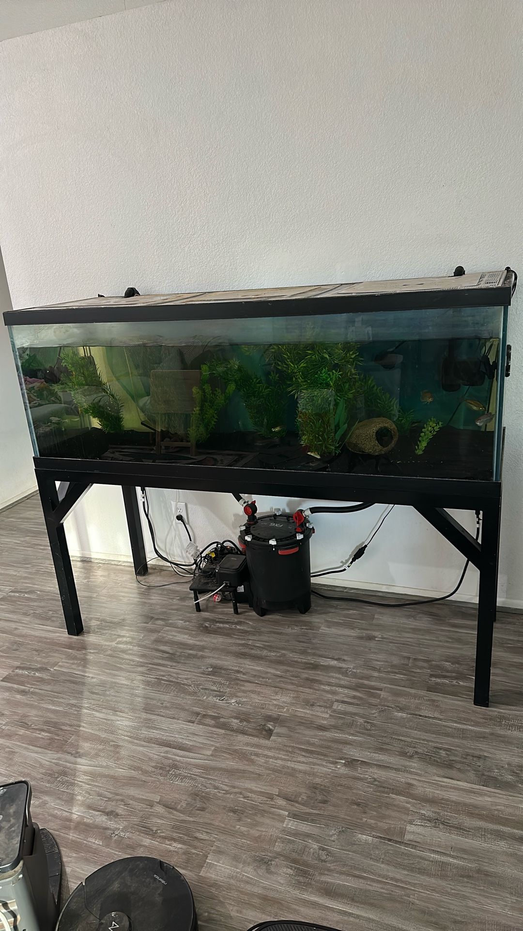 180 Gallon Aquarium
