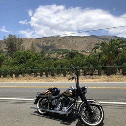 2007 Harley Softail Deluxe