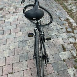 Trek  Fx1 Gen3
