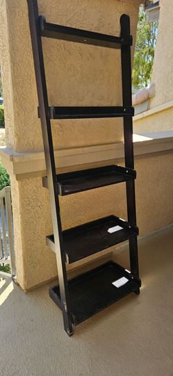 Ladder shelf