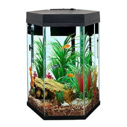 Used 20 Gallon Fish Tank With Pump And Heater