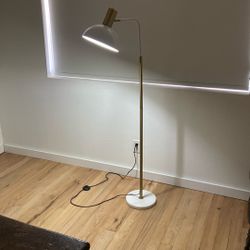 Adjustable Gooseneck Floor Lamp