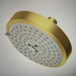 Newport Brass Showerhead