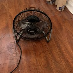 Fan
