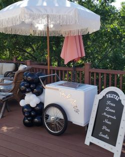 Paleta Cart