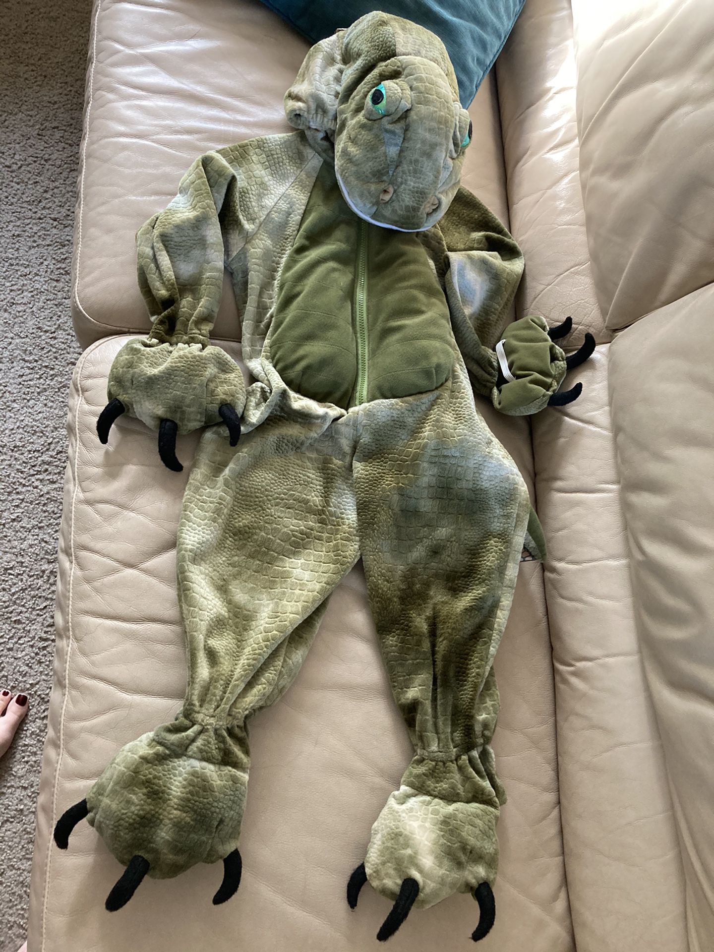 Kids dinosaur costume