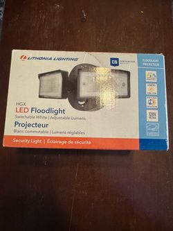 Flood light