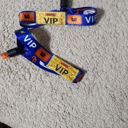 Innings Fest  SAT VIP