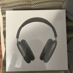 Apple Headphones 