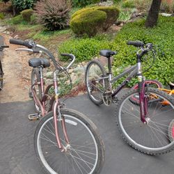 Beach Cruiser And Mountain Bike