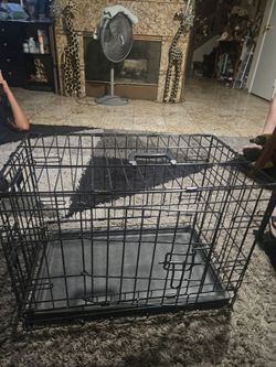 Black Metal Folding Dog Crate with Tray