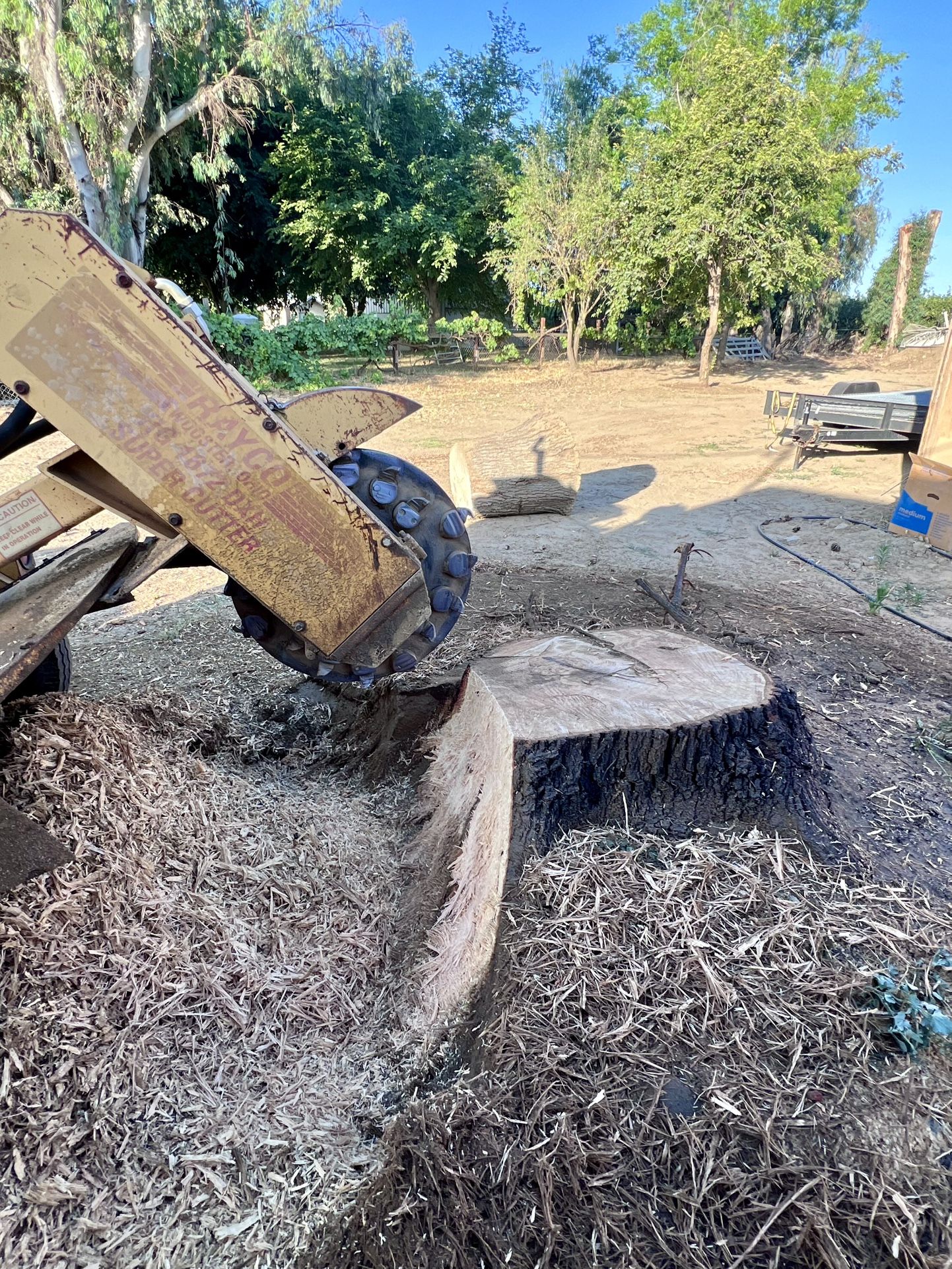 Stump