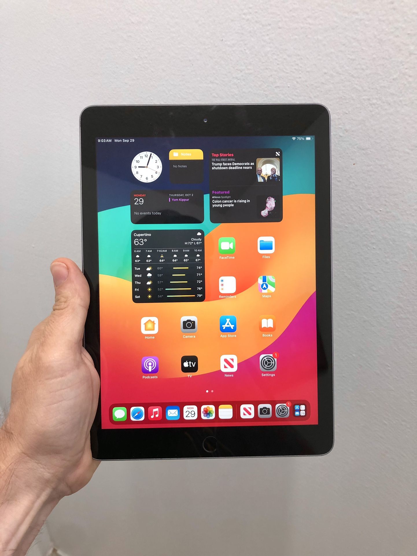 FIRM PRICE - iPad 6th Generation 32gb Space Gray • 8 Available