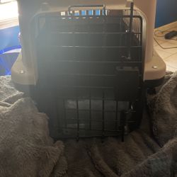 Dog Cage