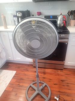 Fan