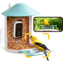 Smart Bird Feeder With Camera 