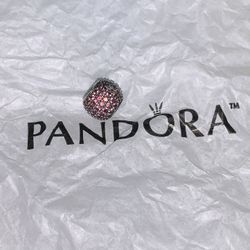 Pandora Charms
