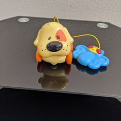 Little Dog