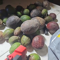 Avocados 4🥑 For 3$ : 6🥑 For 5$ 