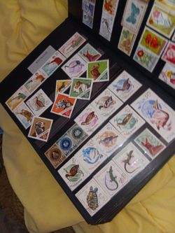 A portfolio stamps who likes stamps collectors