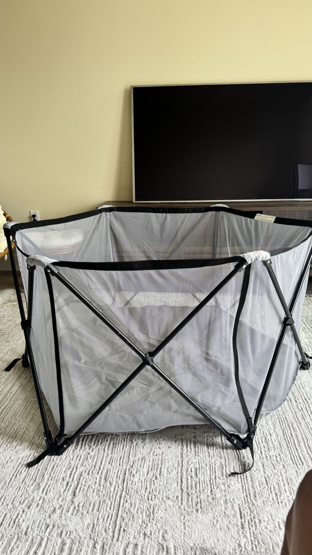 Playing Pet Pen 