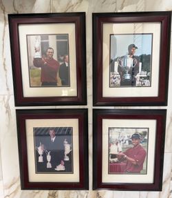 Tiger Woods framed photos
